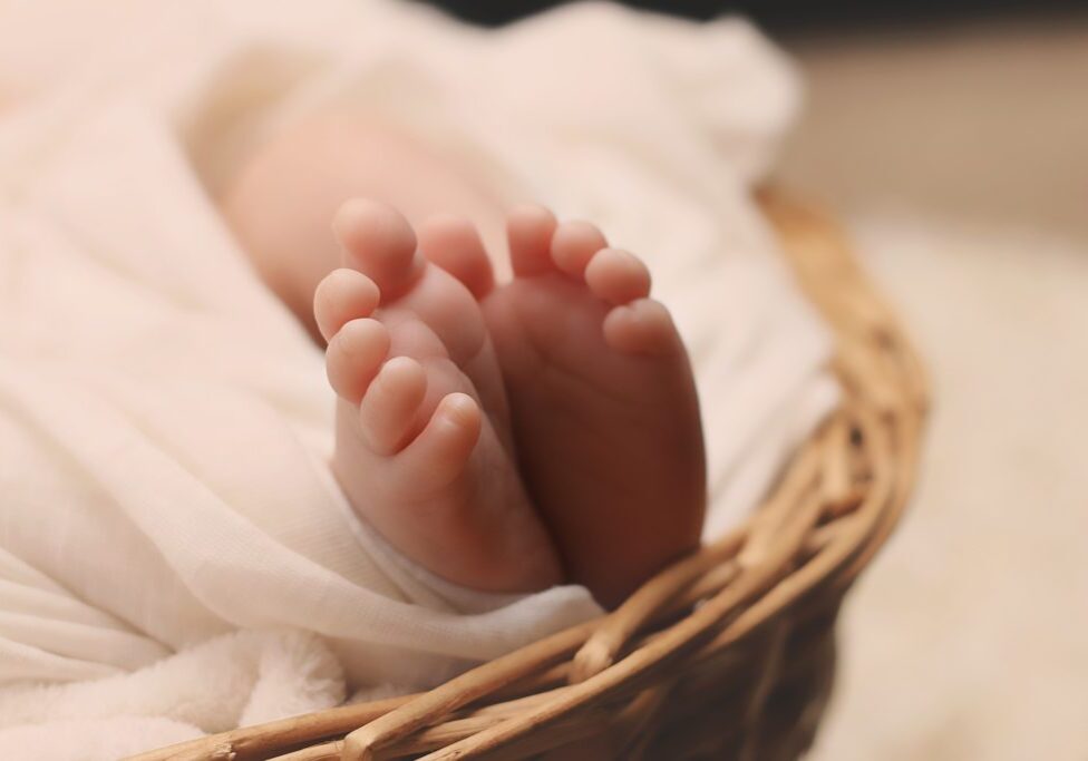 Altruistic Egg Donation
